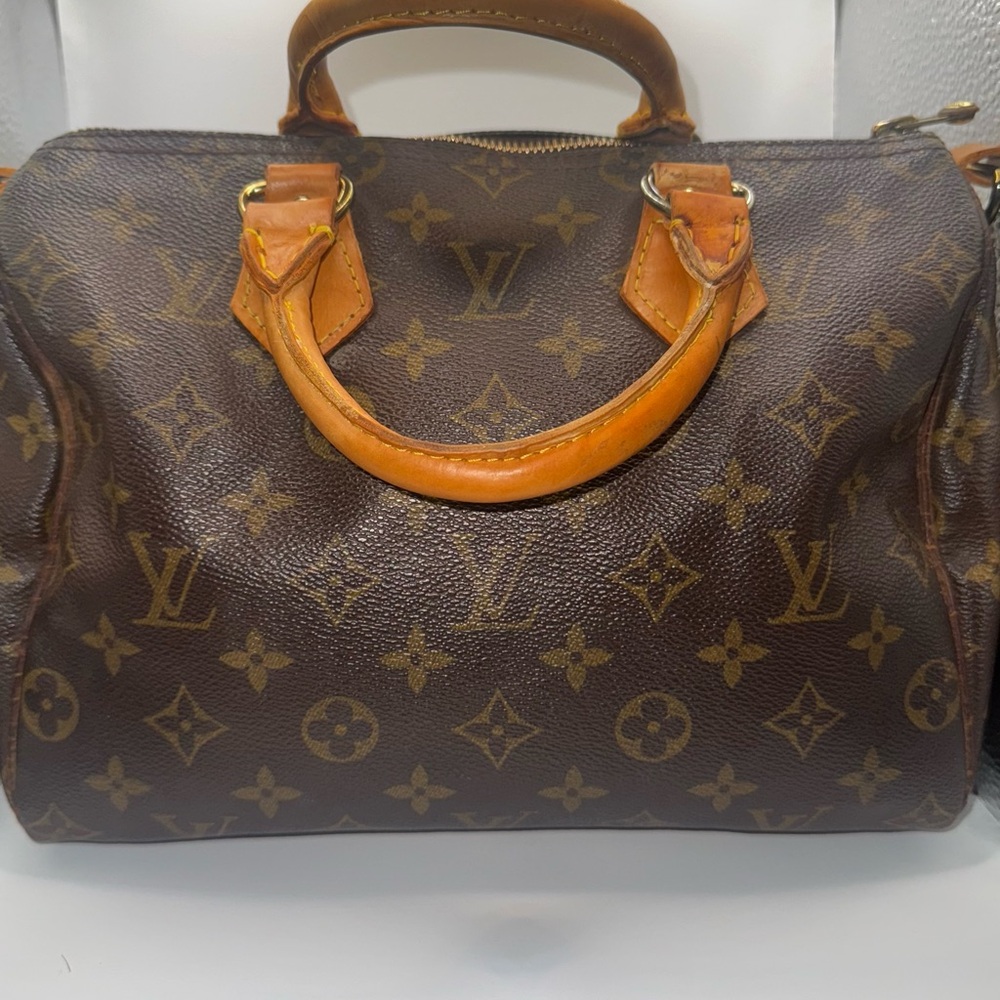 Louis Vuitton Classic Monogram Satchel